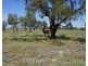 Glenallyn & Pratts Hut, Brewarrina NSW 2839