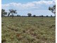 Glenallyn & Pratts Hut, Brewarrina NSW 2839