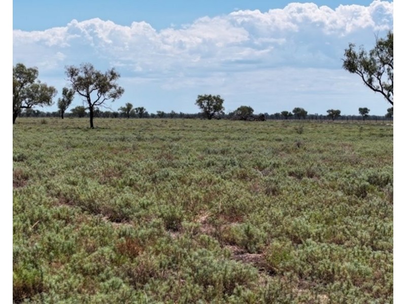 Glenallyn & Pratts Hut, Brewarrina NSW 2839