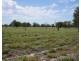 Glenallyn & Pratts Hut, Brewarrina NSW 2839