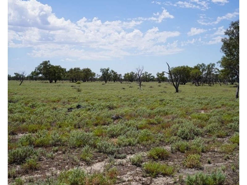 Glenallyn & Pratts Hut, Brewarrina NSW 2839