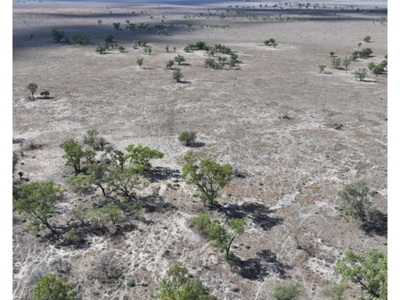 Glenallyn & Pratts Hut, Brewarrina NSW 2839
