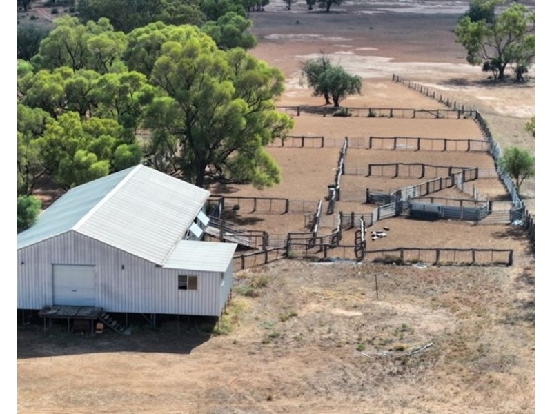 Glenallyn & Pratts Hut, Brewarrina NSW 2839