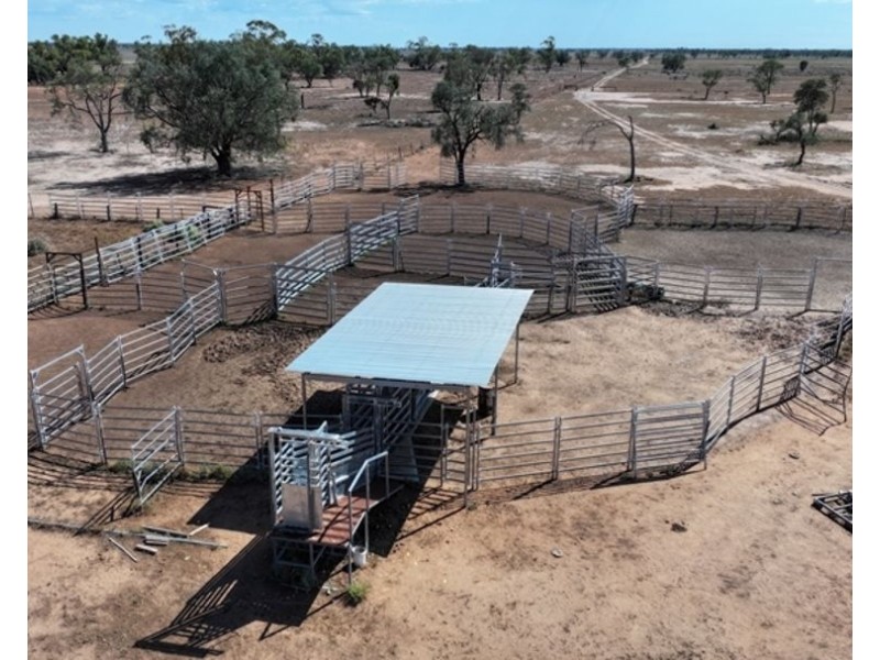 Glenallyn & Pratts Hut, Brewarrina NSW 2839