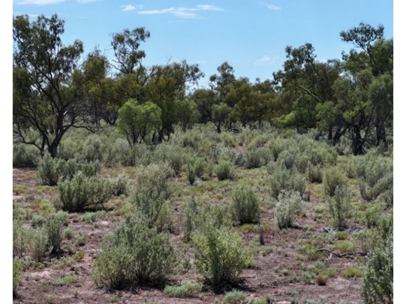 Glenallyn & Pratts Hut, Brewarrina NSW 2839
