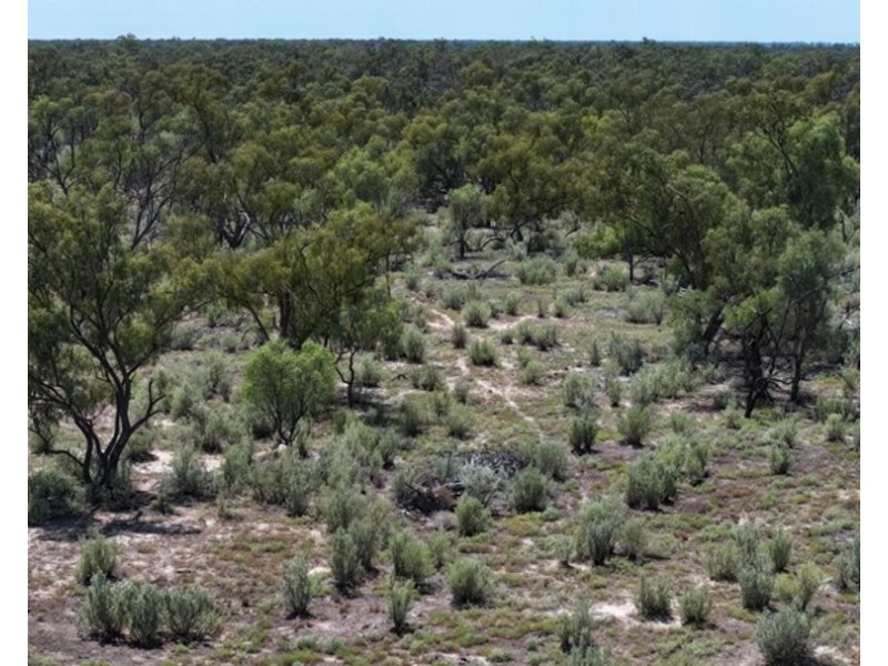 Glenallyn & Pratts Hut, Brewarrina NSW 2839