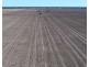 Glenallyn & Pratts Hut, Brewarrina NSW 2839