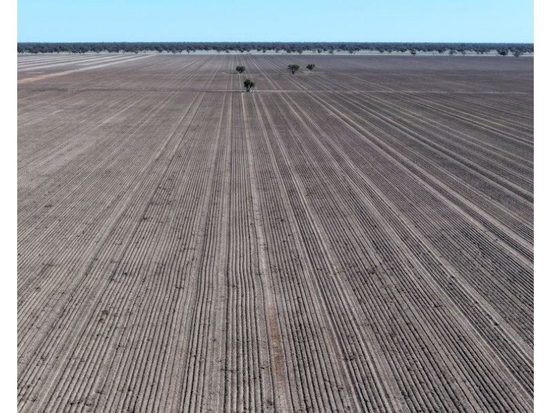 Glenallyn & Pratts Hut, Brewarrina NSW 2839