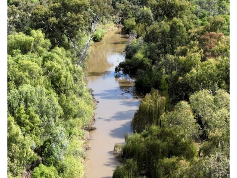 Gwydir River Water Auction, Moree NSW 2400