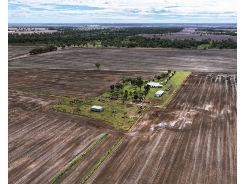 Weetah Cottage, Pallamallawa NSW 2399