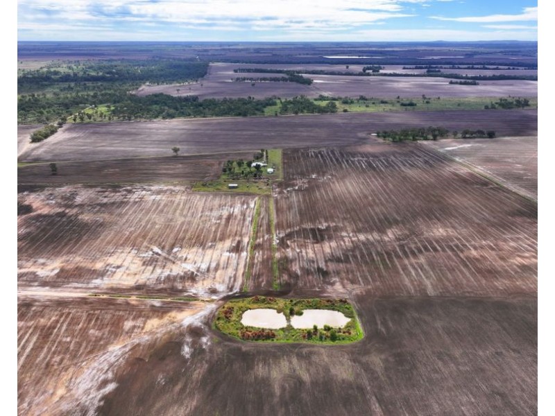Weetah Cottage, Pallamallawa NSW 2399