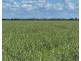 Wynbar, Goodooga NSW 2831