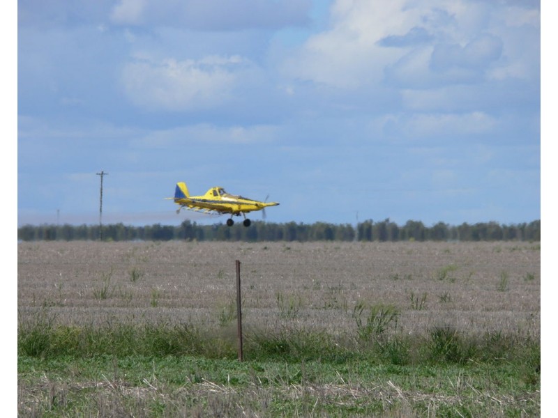 Wynbar, Goodooga NSW 2831