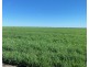 Wynbar, Goodooga NSW 2831