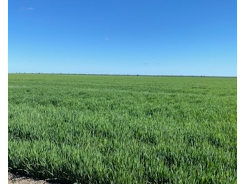 Wynbar, Goodooga NSW 2831