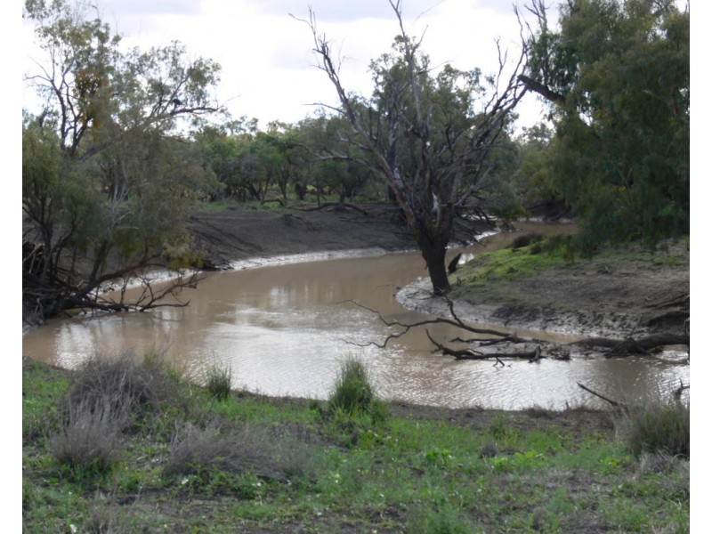 Wynbar, Goodooga NSW 2831