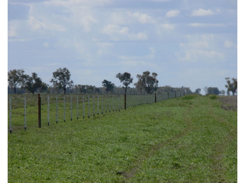 Wynbar, Goodooga NSW 2831