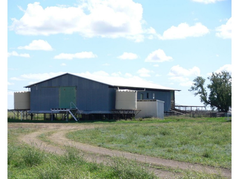 Wynbar, Goodooga NSW 2831