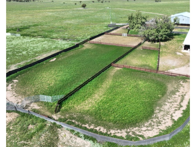Wynbar, Goodooga NSW 2831