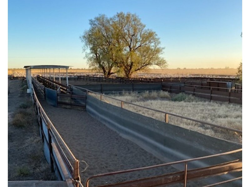 Wynbar, Goodooga NSW 2831