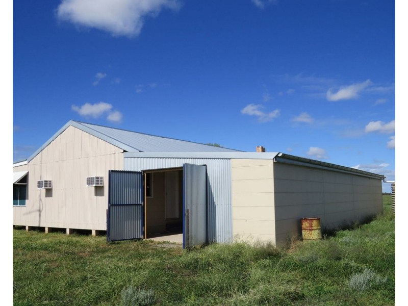 Wynbar, Goodooga NSW 2831
