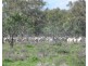 Wynbar, Goodooga NSW 2831
