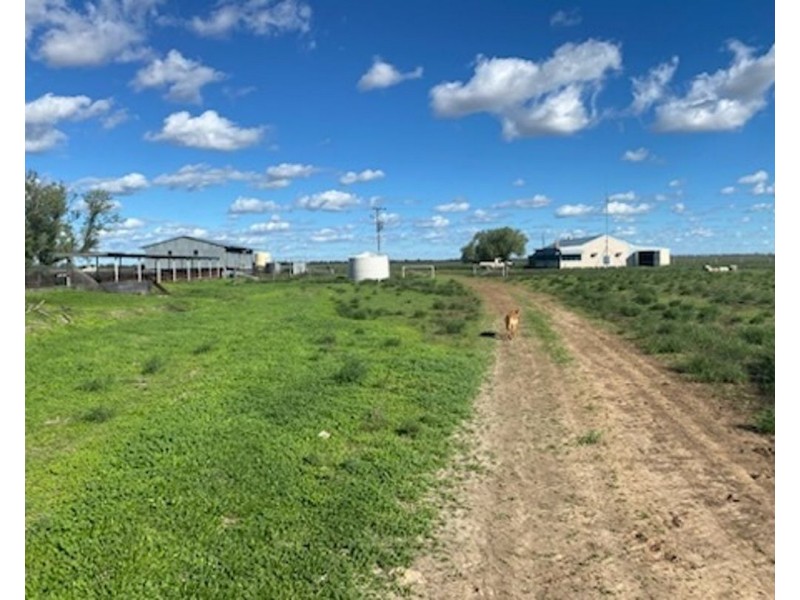Wynbar, Goodooga NSW 2831