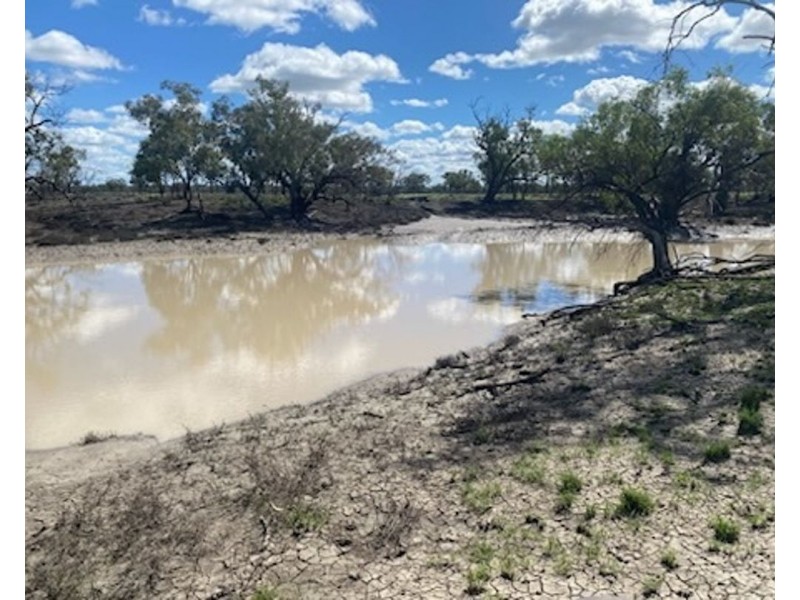 Wynbar, Goodooga NSW 2831