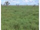 Wynbar, Goodooga NSW 2831