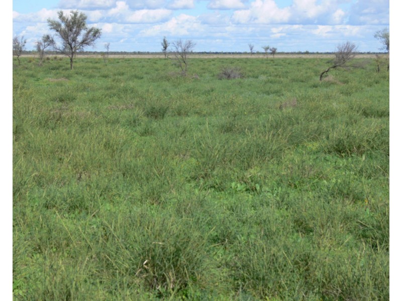 Wynbar, Goodooga NSW 2831
