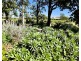 1769 Carnarvon Highway, Ashley NSW 2400