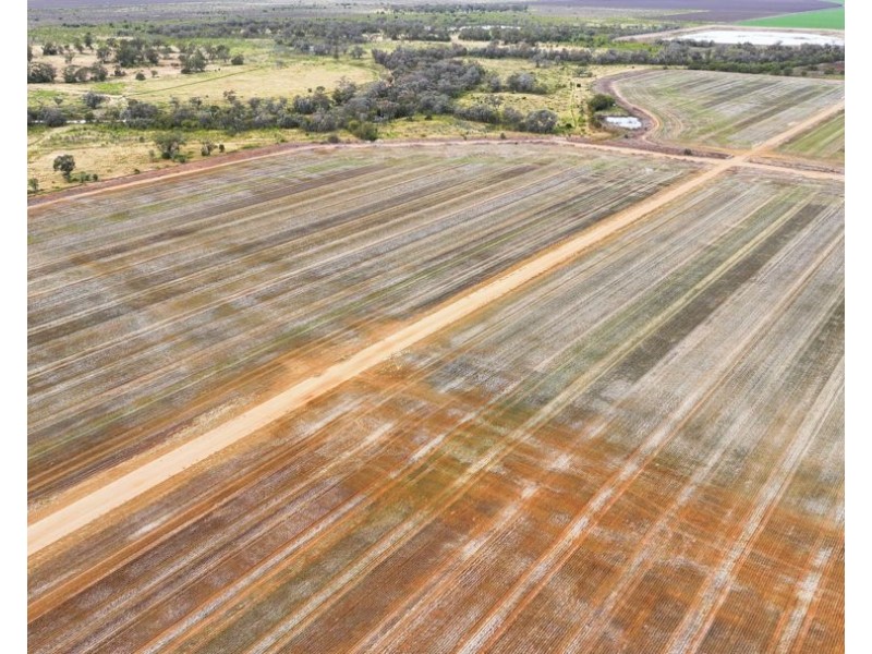 1769 Carnarvon Highway, Ashley NSW 2400