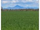 “FOREST VALE”, Gurley NSW 2398