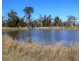 “FOREST VALE”, Gurley NSW 2398