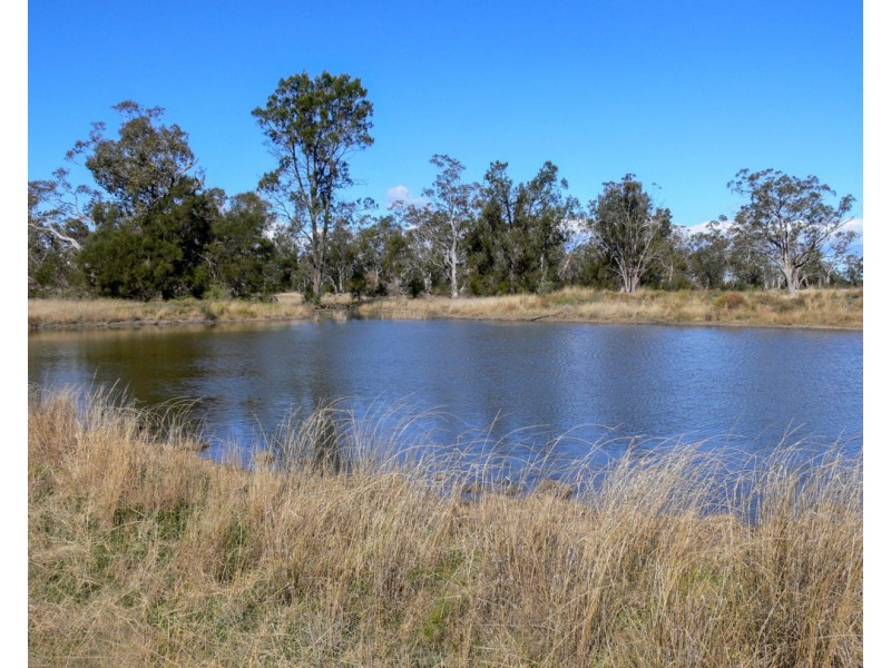 “FOREST VALE”, Gurley NSW 2398