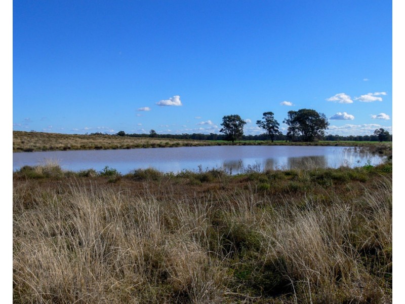 “FOREST VALE”, Gurley NSW 2398