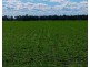 “FOREST VALE”, Gurley NSW 2398