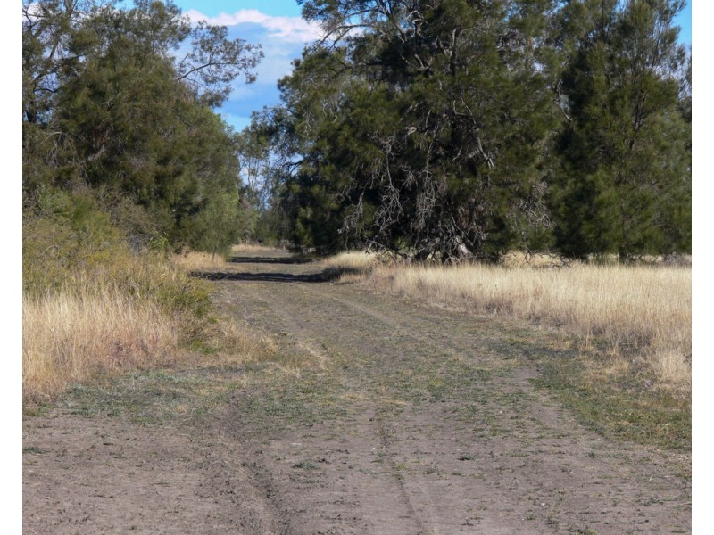 “FOREST VALE”, Gurley NSW 2398