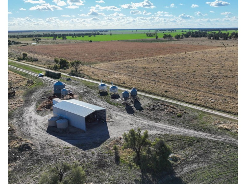“FOREST VALE”, Gurley NSW 2398