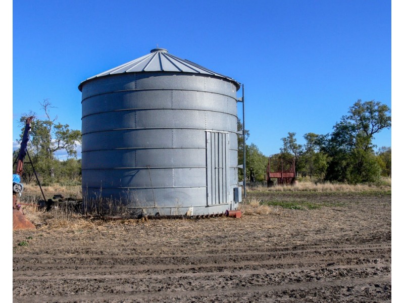 “FOREST VALE”, Gurley NSW 2398