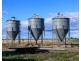 “FOREST VALE”, Gurley NSW 2398