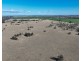 “FOREST VALE”, Gurley NSW 2398