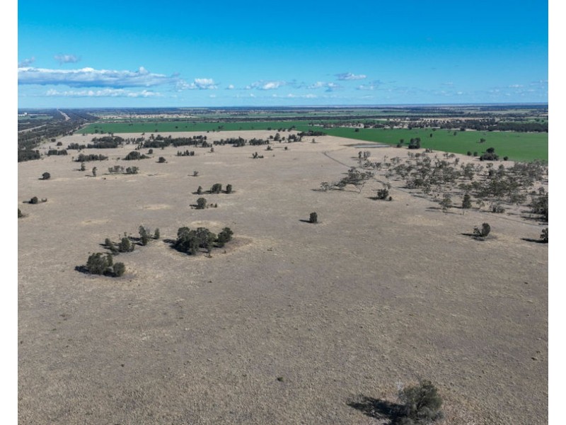 “FOREST VALE”, Gurley NSW 2398