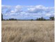 “FOREST VALE”, Gurley NSW 2398
