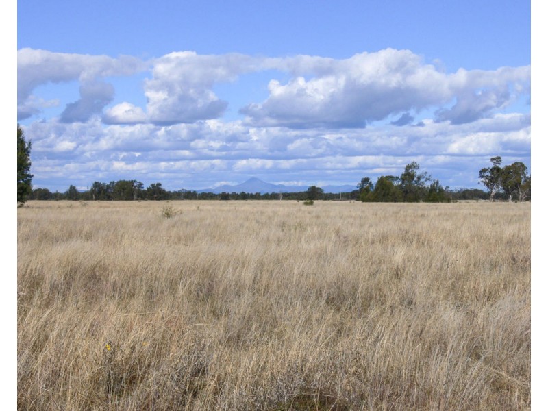 “FOREST VALE”, Gurley NSW 2398