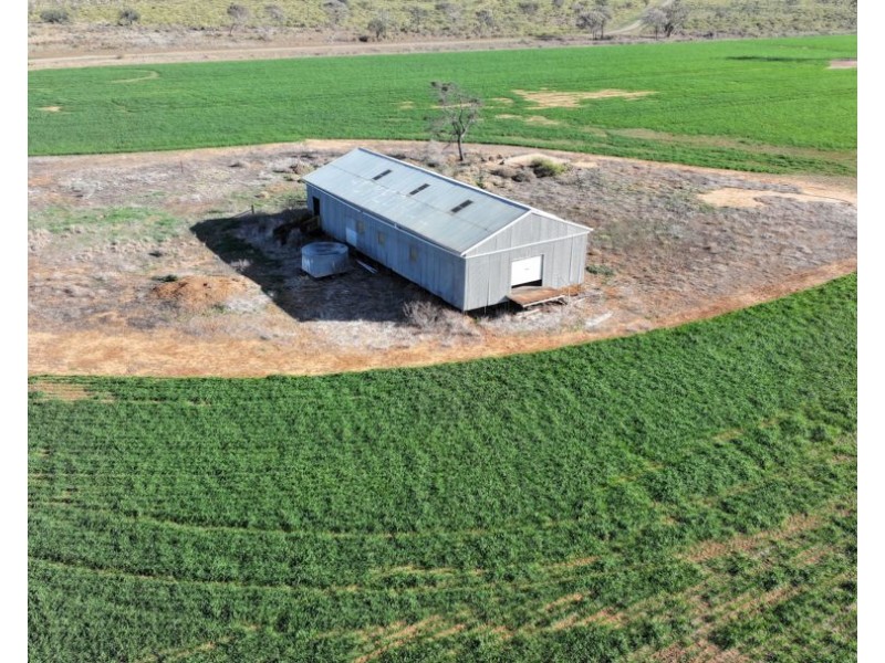 Homedale, Garah NSW 2405