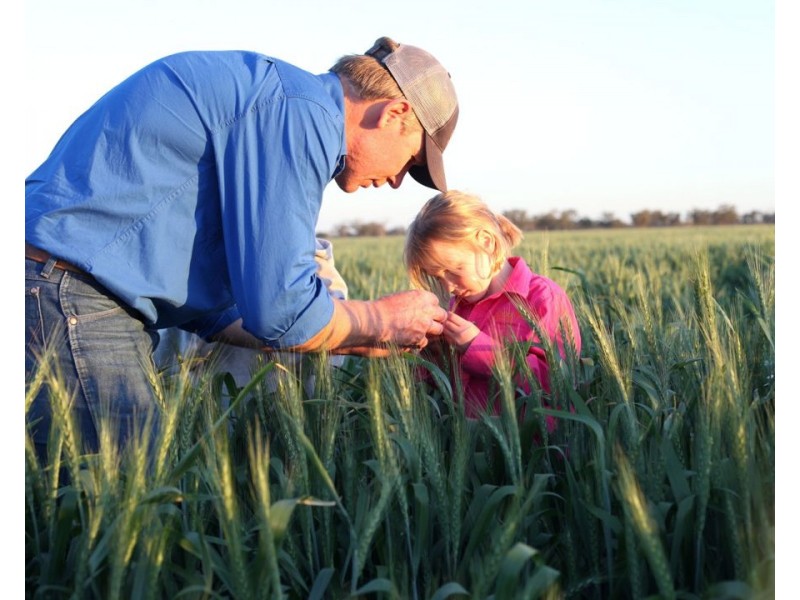 Homedale, Garah NSW 2405