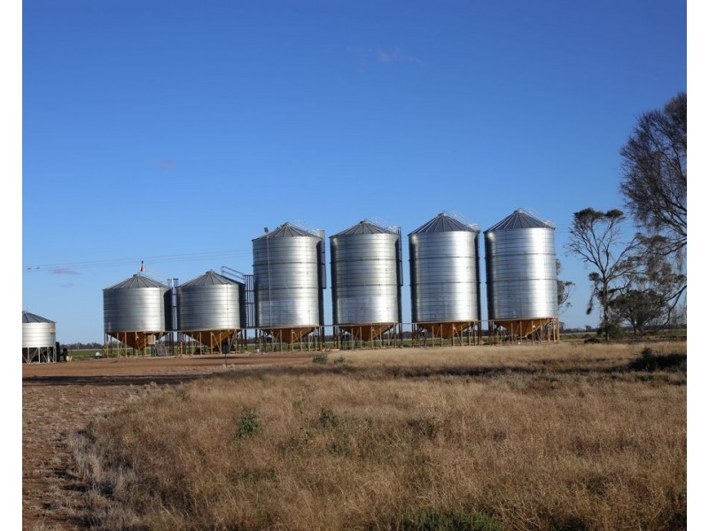 Homedale, Garah NSW 2405