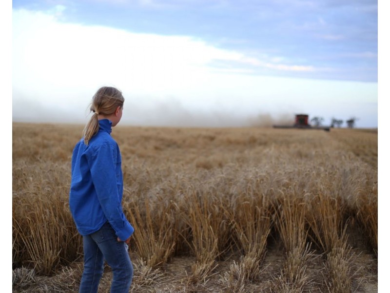 Homedale, Garah NSW 2405