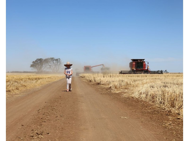 Homedale, Garah NSW 2405